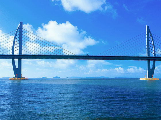 海上觀港珠澳大橋，邂逅中華白海豚